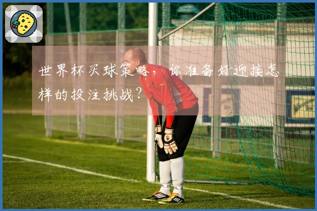 世界杯买球策略，你准备好迎接怎样的投注挑战？