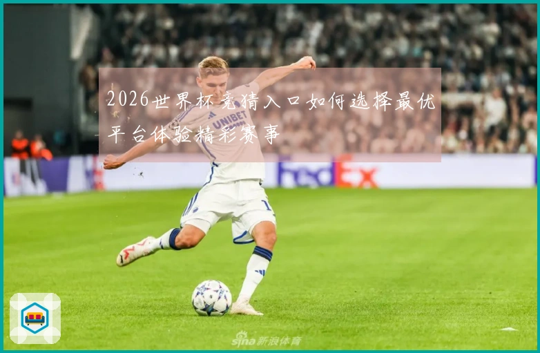 2026世界杯竞猜入口如何选择最优平台体验精彩赛事