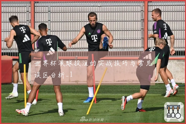世界杯滚球投注的实战技巧与常见误区分析_1
