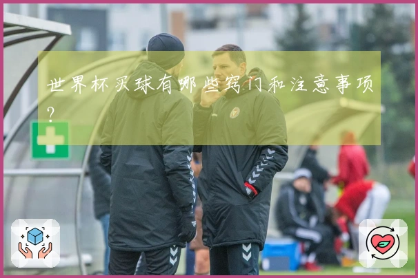 世界杯买球有哪些窍门和注意事项？