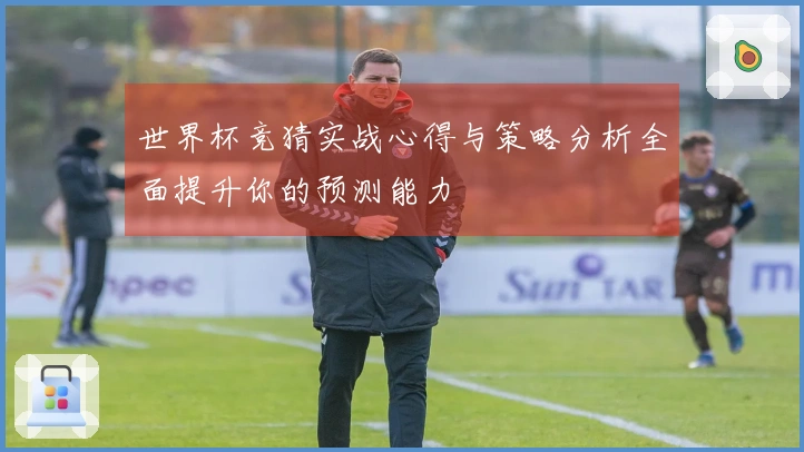 世界杯竞猜实战心得与策略分析全面提升你的预测能力
