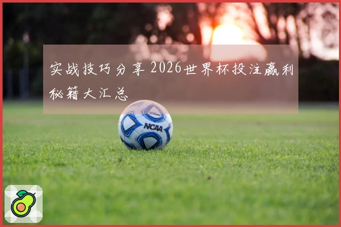 实战技巧分享 2026世界杯投注赢利秘籍大汇总