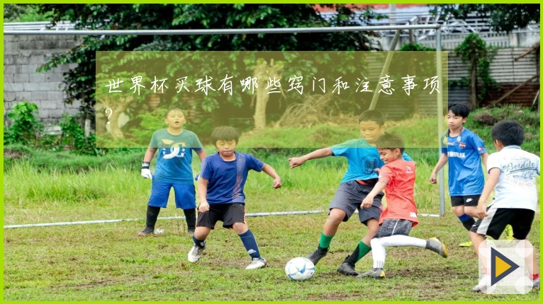 世界杯买球有哪些窍门和注意事项？