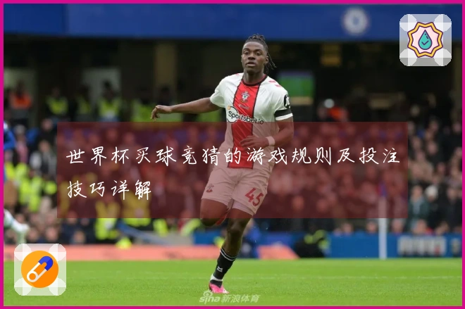 世界杯买球竞猜的游戏规则及投注技巧详解