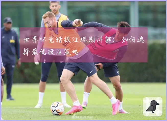 世界杯竞猜投注规则详解：如何选择最优投注策略