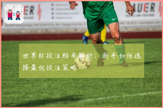 世界杯投注赔率解析：新手如何选择最优投注策略