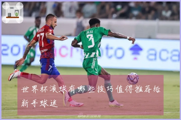 世界杯滚球有哪些技巧值得推荐给新手球迷