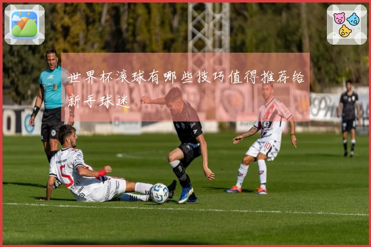 世界杯滚球有哪些技巧值得推荐给新手球迷